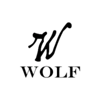 Logo Marcowolfvini